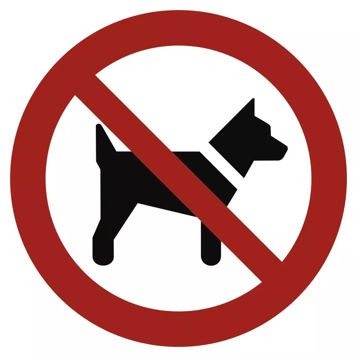 Mitführen von Hunden verboten ISO 7010, Alu, Ø 315 mm