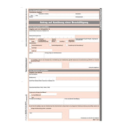 Antrag auf Ausübung einer Beschäftigung, A4, 50 Satz