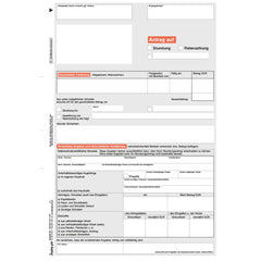 Antrag Stundung / Ermäßigung / Erlass / Ratenzahlung, DIN A4, 25 Stück