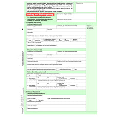 Einbürgerungsantrag Ermessenseinbürgerung, A4, 8-seitig, 25 Stück