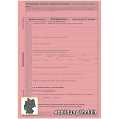 Erklärung über Vermögen (Anlage zum Antrag 107 410 1001 001), A4 rosa, 10 Stück