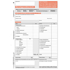 Vermögensübersicht PBefG, A4, 1-fach, 40 Stück