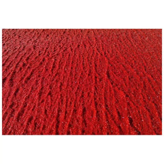 PlastiRoute Straßenmarkierungsfarbe Rollplast Tomato Red, 16 kg