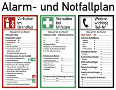 Alarm- und Notfallplan ISO 7010, Kunststoff, 620x480 mm