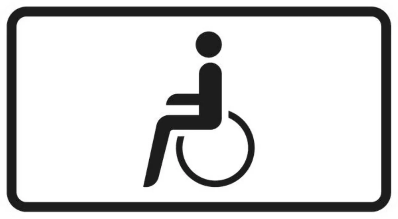 Zusatzzeichen 1000-1099 VZ1044-10 Nur Schwerbehinderte mit außergewöhnlicher Gehbehinderung und Blinde - 231x420 2 mm RA2 Bild 2 von 4 für Verkehrszeichen