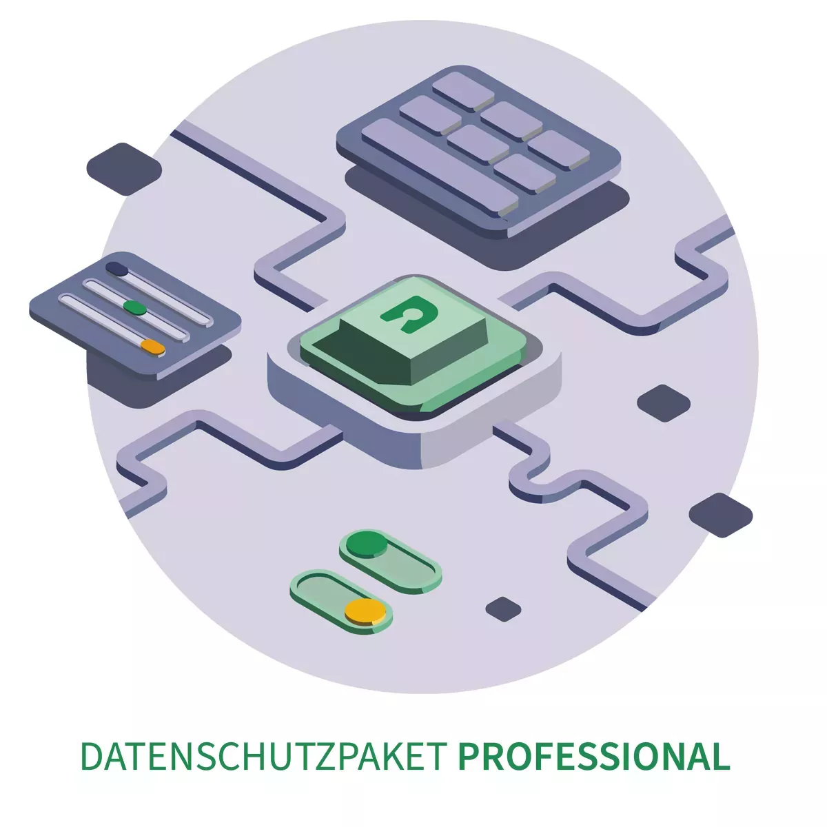 Datenschutzpaket Professional